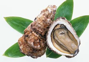 究極ガイド2026：絶品ステーキを楽しむための選び方と調理法