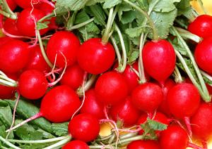 大阪のお好み焼きグループ「ぼてぢゅう」の魅力と最新店舗情報